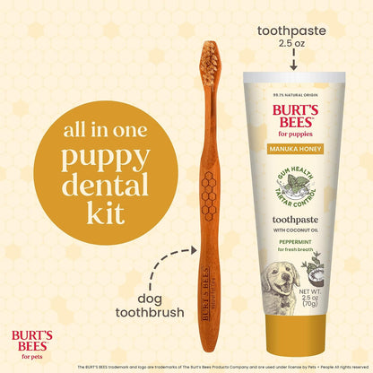 Burt's Bees Manuka Honey Peppermint Puppy Dental Kit, 2.5 Oz