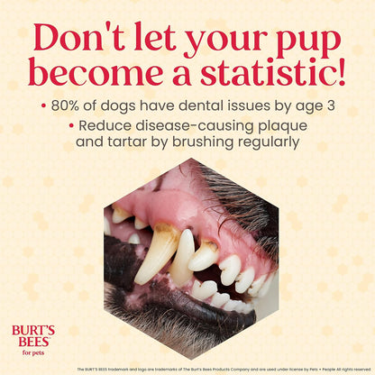 Burt's Bees Manuka Honey Peppermint Puppy Dental Kit, 2.5 Oz