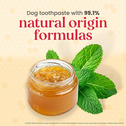 Burt's Bees Manuka Honey Peppermint Puppy Dental Kit, 2.5 Oz