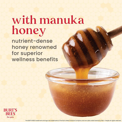 Burt's Bees Manuka Honey Peppermint Puppy Dental Kit, 2.5 Oz
