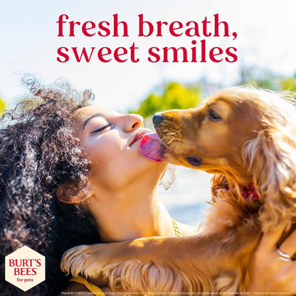 Burt's Bees Manuka Honey Peppermint Puppy Dental Kit, 2.5 Oz