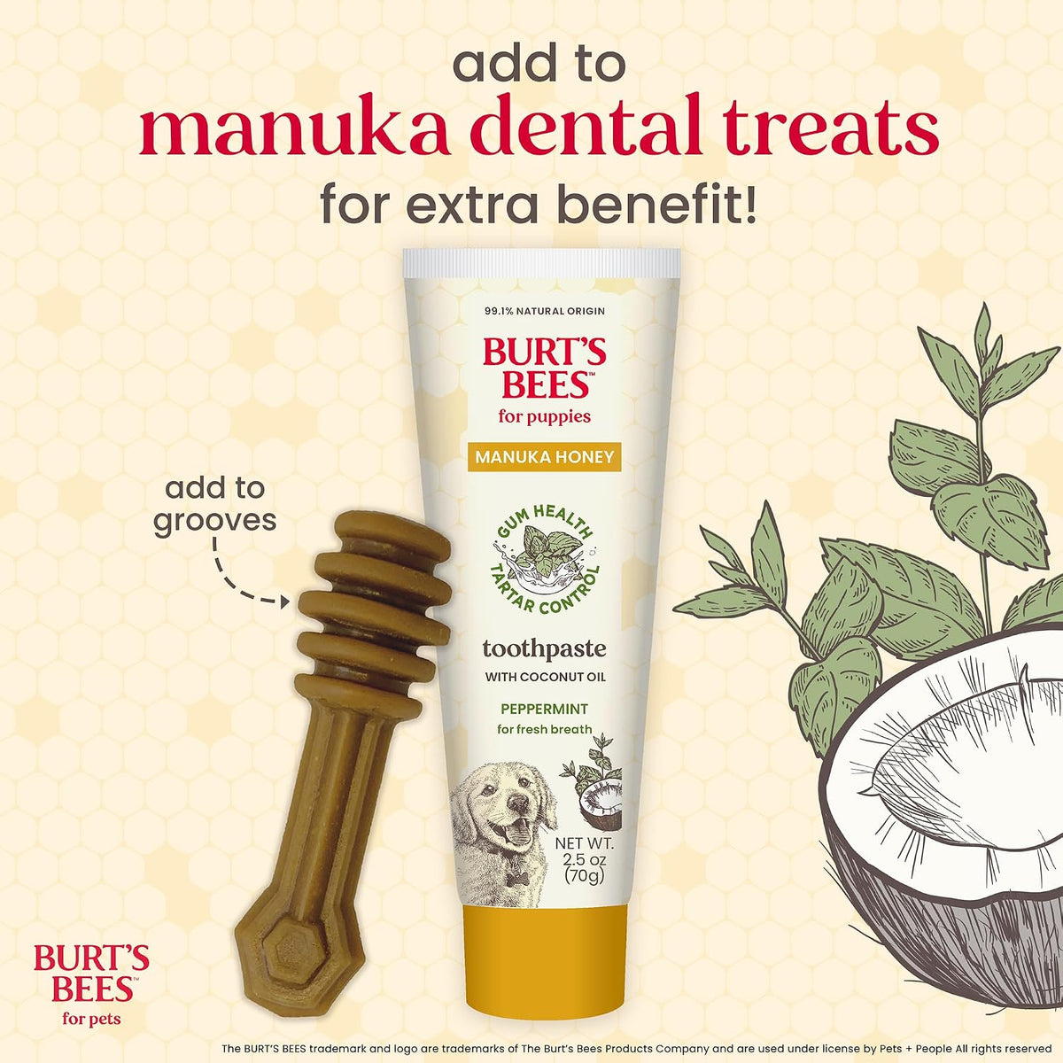 Burt's Bees Manuka Honey Peppermint Puppy Dental Kit, 2.5 Oz