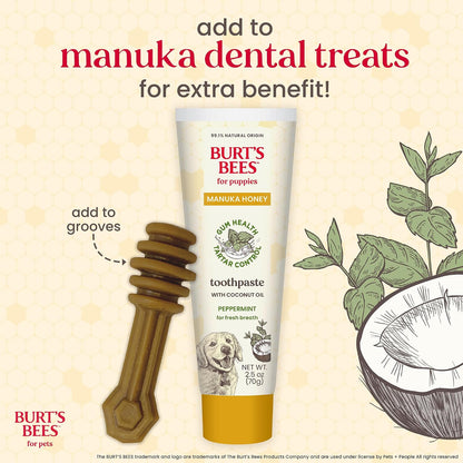 Burt's Bees Manuka Honey Peppermint Puppy Dental Kit, 2.5 Oz
