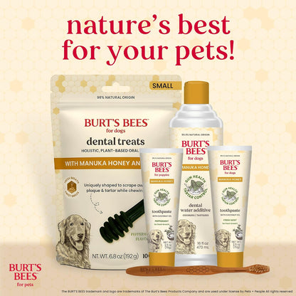 Burt's Bees Manuka Honey Peppermint Puppy Dental Kit, 2.5 Oz