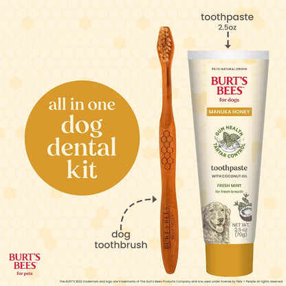 Burt's Bees Manuka Honey Peppermint Puppy Dental Kit, 2.5 Oz