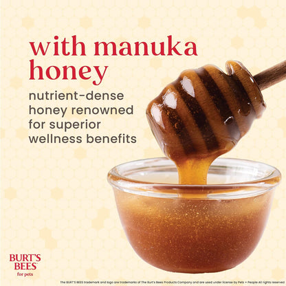 Burt's Bees Manuka Honey Peppermint Puppy Dental Kit, 2.5 Oz