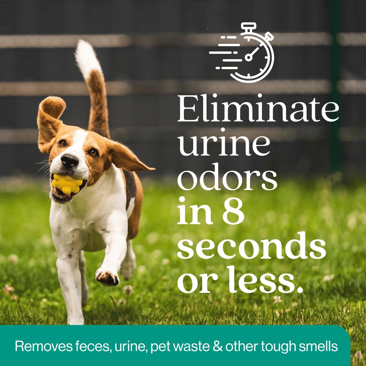 Outdoor Odor Eliminator | Outside Dog Urine Enzyme Cleaner – Powerful Pet, Cat, Animal Scent Deodorizer | Professional Strength for Yard, Turf, Kennels, Patios, Decks (Gallon with Sprayer)