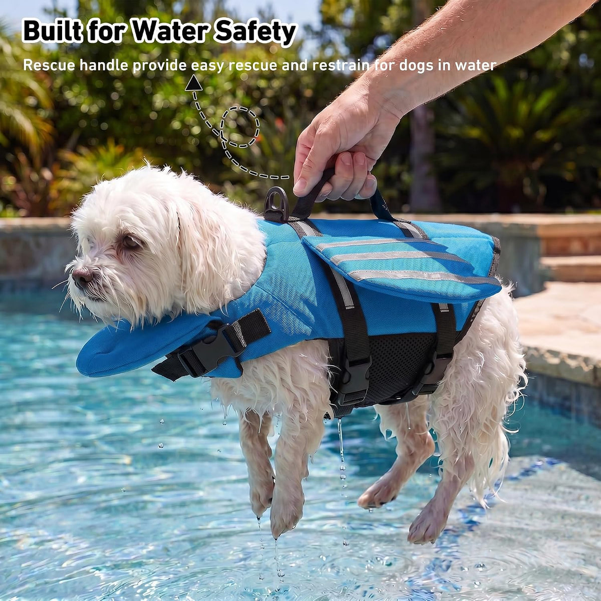 Dog Life Jacket, Cute Wings Adjustable Dog Life Vest with Chin Float and Handle for Swimming Boating Reflective High Buoyancy Swim Float Vest for Small Medium Large Dogs (Blue, M)