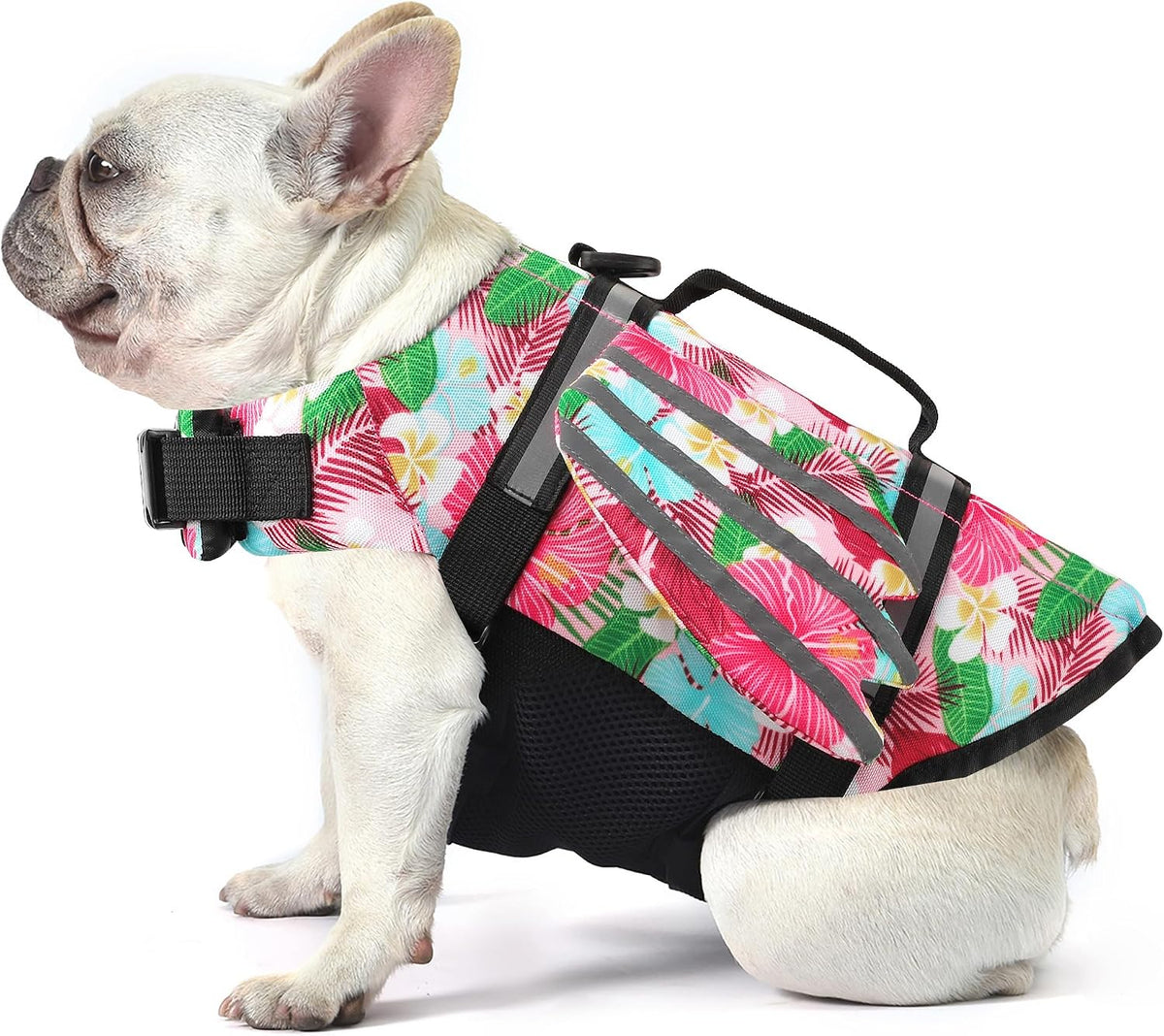 Dog Life Jacket, Cute Wings Adjustable Dog Life Vest with Chin Float and Handle for Swimming Boating Reflective High Buoyancy Swim Float Vest for Small Medium Large Dogs (Blue, M)
