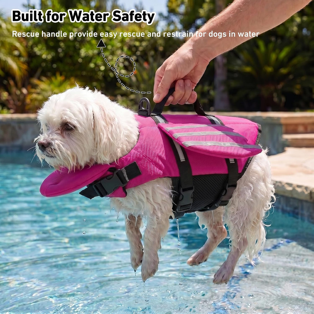 Dog Life Jacket, Cute Wings Adjustable Dog Life Vest with Chin Float and Handle for Swimming Boating Reflective High Buoyancy Swim Float Vest for Small Medium Large Dogs (Blue, M)