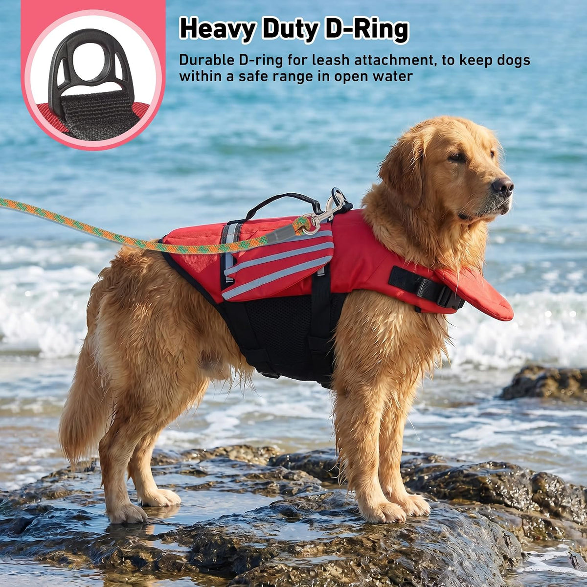 Dog Life Jacket, Cute Wings Adjustable Dog Life Vest with Chin Float and Handle for Swimming Boating Reflective High Buoyancy Swim Float Vest for Small Medium Large Dogs (Blue, M)