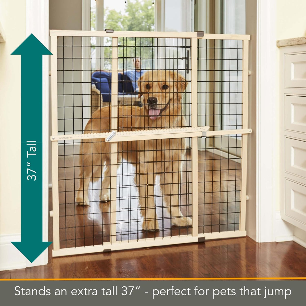 MYPET Wire Mesh Dog Gate: 29.5"-50" Wide, Pressure Mounted with No Tools; Expandable, Durable Pet Gates for Doors and Hallways, 31" Tall, Made with Sustainable Hardwood