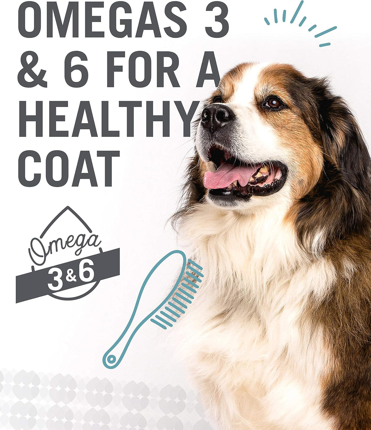 Naked Essentials Dry Dog Food - Lamb + Bison - High Protein, Real Meat, No Fillers, Prebiotics + Probiotics, 4lb Bag