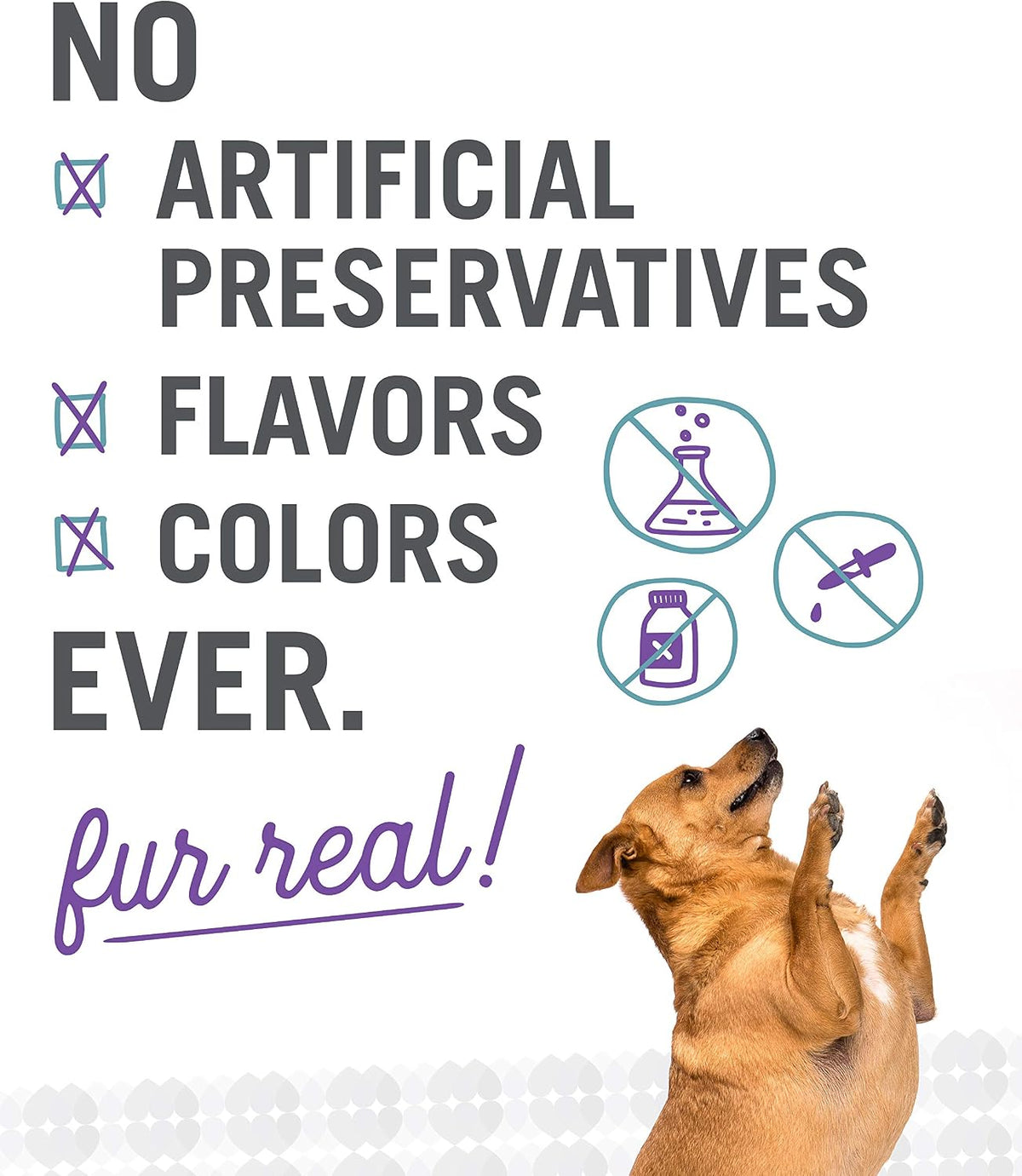 Naked Essentials Dry Dog Food - Lamb + Bison - High Protein, Real Meat, No Fillers, Prebiotics + Probiotics, 4lb Bag