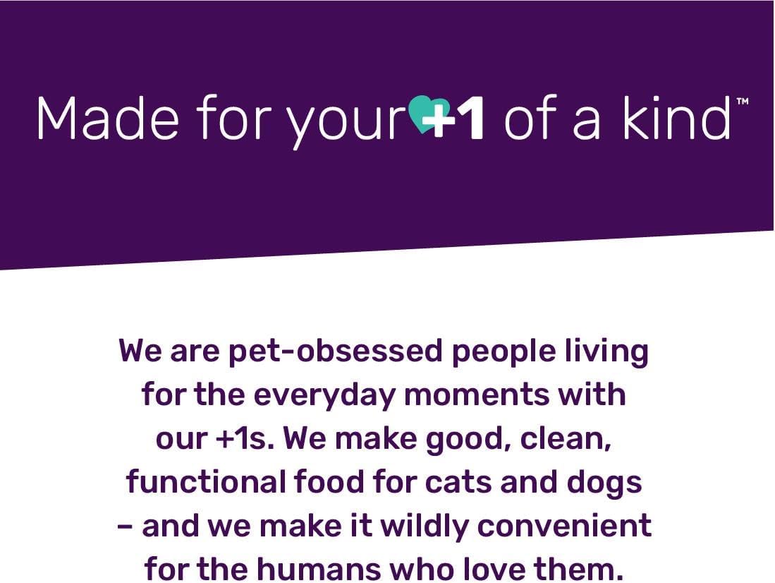 Naked Essentials Dry Dog Food - Lamb + Bison - High Protein, Real Meat, No Fillers, Prebiotics + Probiotics, 4lb Bag