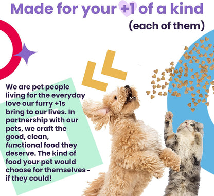 Naked Essentials Dry Dog Food - Lamb + Bison - High Protein, Real Meat, No Fillers, Prebiotics + Probiotics, 4lb Bag