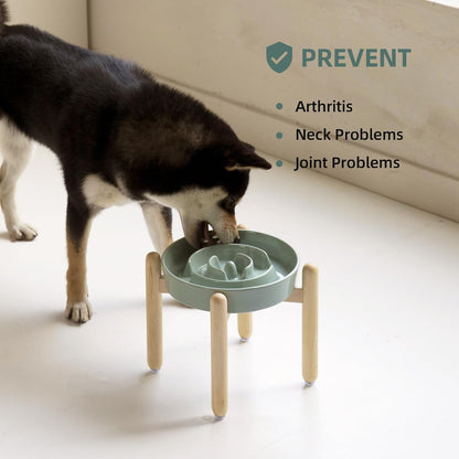 Havniva Ceramic Slow Feeder Dog Bowls, 1.6 Cups Dog Bowl Slow Feeding for Medium Breed, 8.2inch Puzzle Dog Food Bowl Slow Feeder Non-Slip Anti-Gulping and Anti-Choking Reduces Bloating