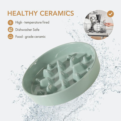 Havniva Ceramic Slow Feeder Dog Bowls, 1.6 Cups Dog Bowl Slow Feeding for Medium Breed, 8.2inch Puzzle Dog Food Bowl Slow Feeder Non-Slip Anti-Gulping and Anti-Choking Reduces Bloating