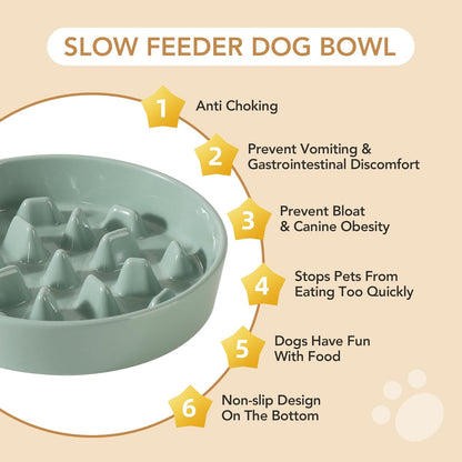 Havniva Ceramic Slow Feeder Dog Bowls, 1.6 Cups Dog Bowl Slow Feeding for Medium Breed, 8.2inch Puzzle Dog Food Bowl Slow Feeder Non-Slip Anti-Gulping and Anti-Choking Reduces Bloating