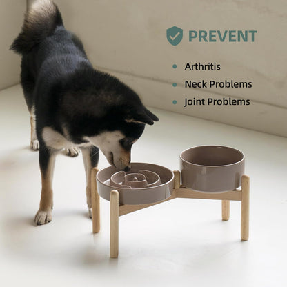 Havniva Ceramic Slow Feeder Dog Bowls, 1.6 Cups Dog Bowl Slow Feeding for Medium Breed, 8.2inch Puzzle Dog Food Bowl Slow Feeder Non-Slip Anti-Gulping and Anti-Choking Reduces Bloating