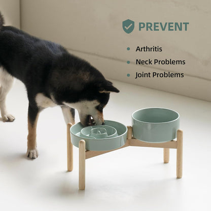 Havniva Ceramic Slow Feeder Dog Bowls, 1.6 Cups Dog Bowl Slow Feeding for Medium Breed, 8.2inch Puzzle Dog Food Bowl Slow Feeder Non-Slip Anti-Gulping and Anti-Choking Reduces Bloating