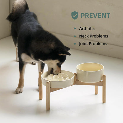 Havniva Ceramic Slow Feeder Dog Bowls, 1.6 Cups Dog Bowl Slow Feeding for Medium Breed, 8.2inch Puzzle Dog Food Bowl Slow Feeder Non-Slip Anti-Gulping and Anti-Choking Reduces Bloating