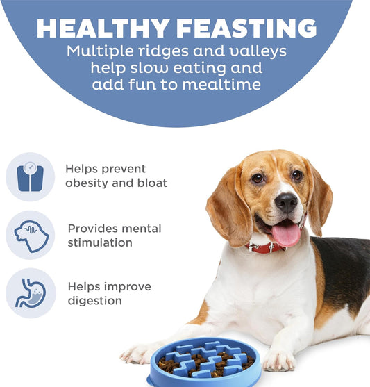 Fun Feeder Slo Bowl – Medium 2‑Cup Capacity, Slow Feeding, Small to Medium Dogs & Cats, Non-Slip, Blue, Notch Pattern | Slows Fast Eaters, Can Aid Digestion, Holds 2 Cups Dry or Wet Food, Non-Slip, Easy Clean, No BPA, Small to Medium Dogs & Cats