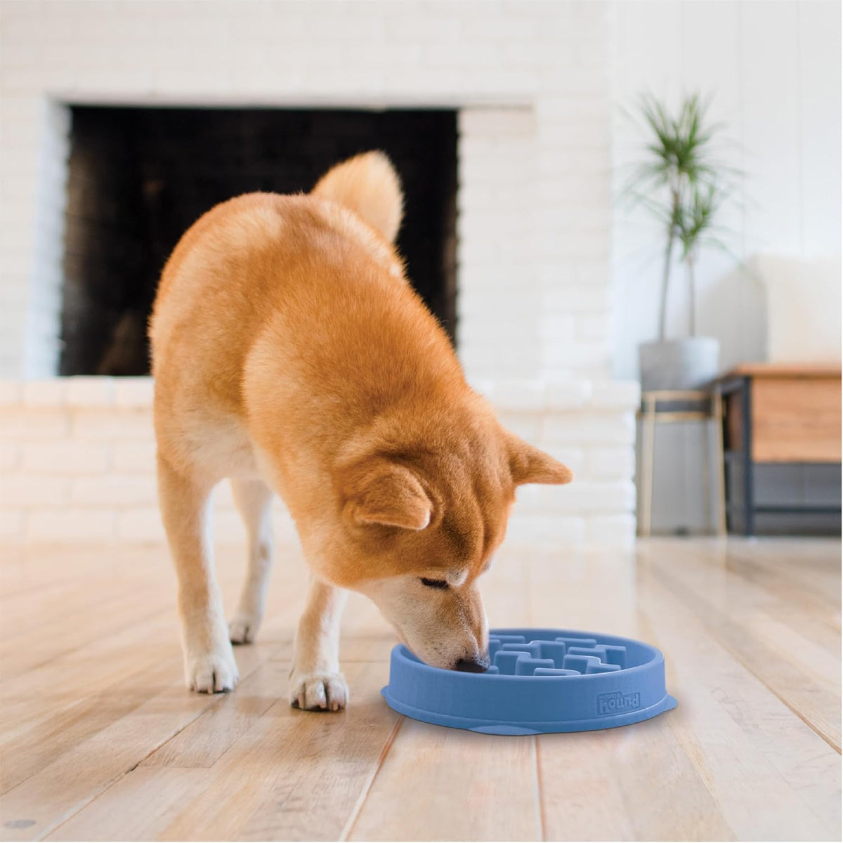 Fun Feeder Slo Bowl – Medium 2‑Cup Capacity, Slow Feeding, Small to Medium Dogs & Cats, Non-Slip, Blue, Notch Pattern | Slows Fast Eaters, Can Aid Digestion, Holds 2 Cups Dry or Wet Food, Non-Slip, Easy Clean, No BPA, Small to Medium Dogs & Cats