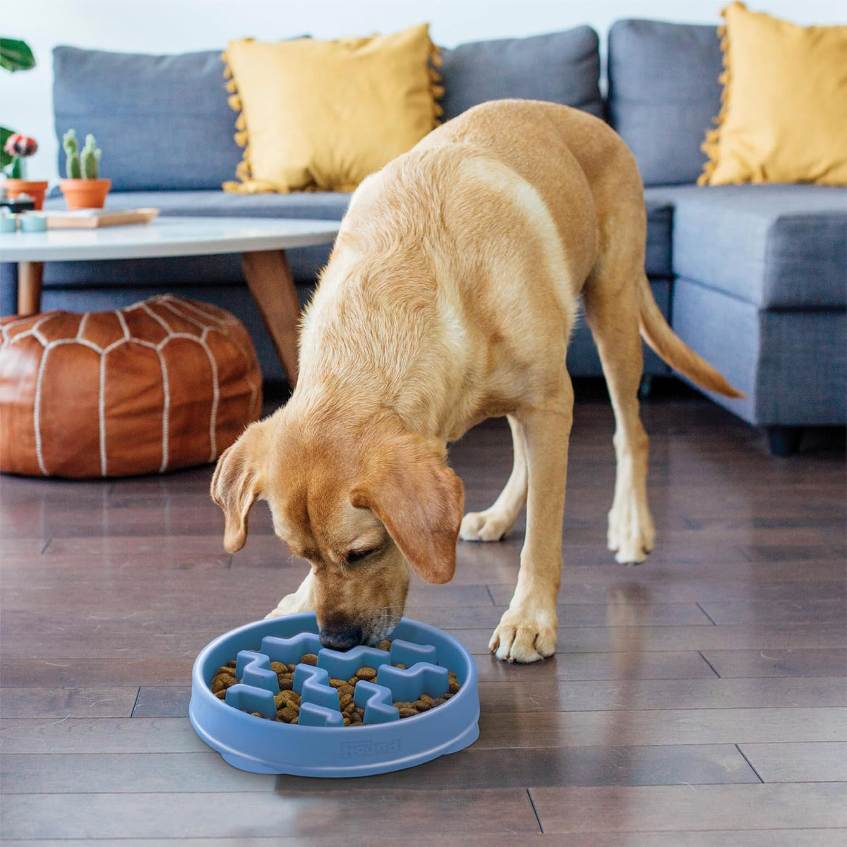 Fun Feeder Slo Bowl – Medium 2‑Cup Capacity, Slow Feeding, Small to Medium Dogs & Cats, Non-Slip, Blue, Notch Pattern | Slows Fast Eaters, Can Aid Digestion, Holds 2 Cups Dry or Wet Food, Non-Slip, Easy Clean, No BPA, Small to Medium Dogs & Cats