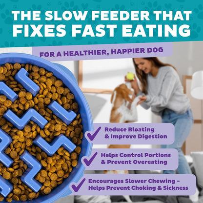 Fun Feeder Slo Bowl – Medium 2‑Cup Capacity, Slow Feeding, Small to Medium Dogs & Cats, Non-Slip, Blue, Notch Pattern | Slows Fast Eaters, Can Aid Digestion, Holds 2 Cups Dry or Wet Food, Non-Slip, Easy Clean, No BPA, Small to Medium Dogs & Cats