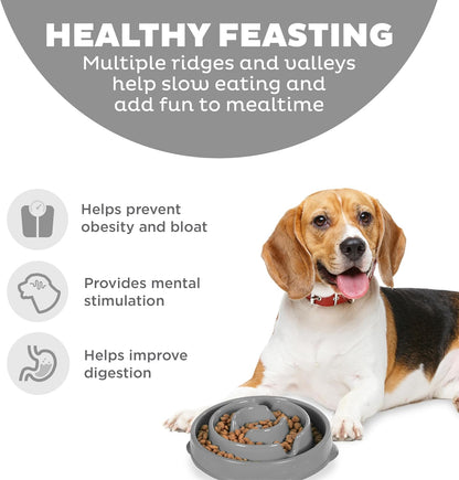 Fun Feeder Slo Bowl – Medium 2‑Cup Capacity, Slow Feeding, Small to Medium Dogs & Cats, Non-Slip, Blue, Notch Pattern | Slows Fast Eaters, Can Aid Digestion, Holds 2 Cups Dry or Wet Food, Non-Slip, Easy Clean, No BPA, Small to Medium Dogs & Cats