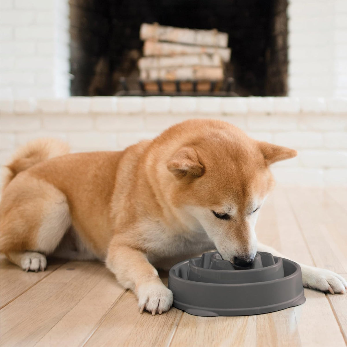 Fun Feeder Slo Bowl – Medium 2‑Cup Capacity, Slow Feeding, Small to Medium Dogs & Cats, Non-Slip, Blue, Notch Pattern | Slows Fast Eaters, Can Aid Digestion, Holds 2 Cups Dry or Wet Food, Non-Slip, Easy Clean, No BPA, Small to Medium Dogs & Cats