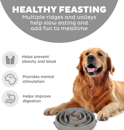 Fun Feeder Slo Bowl – Medium 2‑Cup Capacity, Slow Feeding, Small to Medium Dogs & Cats, Non-Slip, Blue, Notch Pattern | Slows Fast Eaters, Can Aid Digestion, Holds 2 Cups Dry or Wet Food, Non-Slip, Easy Clean, No BPA, Small to Medium Dogs & Cats