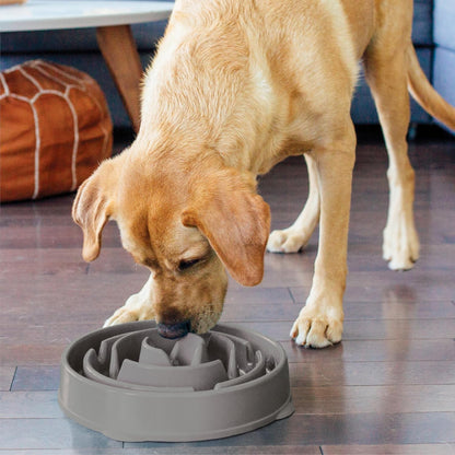 Fun Feeder Slo Bowl – Medium 2‑Cup Capacity, Slow Feeding, Small to Medium Dogs & Cats, Non-Slip, Blue, Notch Pattern | Slows Fast Eaters, Can Aid Digestion, Holds 2 Cups Dry or Wet Food, Non-Slip, Easy Clean, No BPA, Small to Medium Dogs & Cats