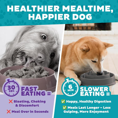 Fun Feeder Slo Bowl – Medium 2‑Cup Capacity, Slow Feeding, Small to Medium Dogs & Cats, Non-Slip, Blue, Notch Pattern | Slows Fast Eaters, Can Aid Digestion, Holds 2 Cups Dry or Wet Food, Non-Slip, Easy Clean, No BPA, Small to Medium Dogs & Cats