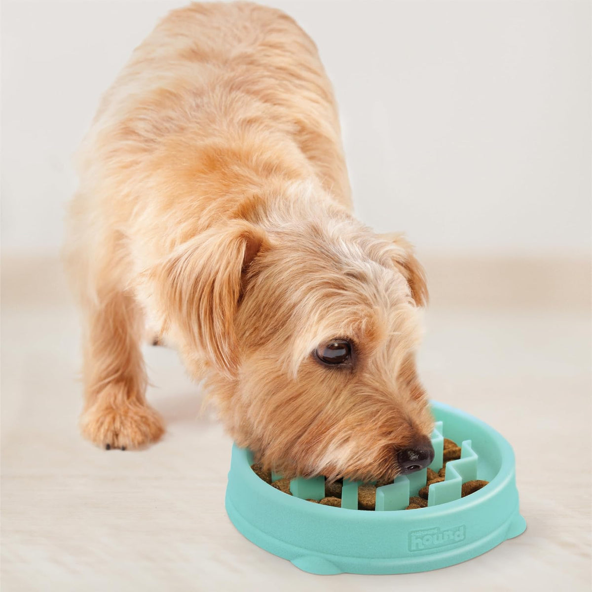 Fun Feeder Slo Bowl – Medium 2‑Cup Capacity, Slow Feeding, Small to Medium Dogs & Cats, Non-Slip, Blue, Notch Pattern | Slows Fast Eaters, Can Aid Digestion, Holds 2 Cups Dry or Wet Food, Non-Slip, Easy Clean, No BPA, Small to Medium Dogs & Cats