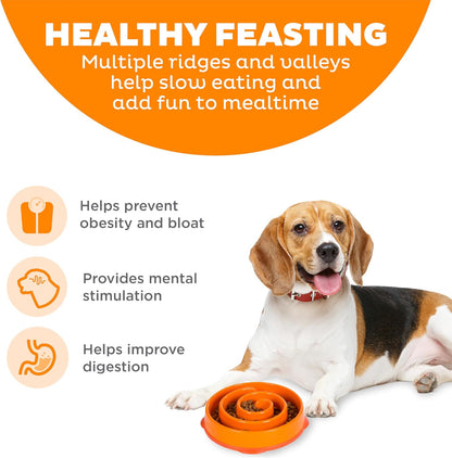 Fun Feeder Slo Bowl – Medium 2‑Cup Capacity, Slow Feeding, Small to Medium Dogs & Cats, Non-Slip, Blue, Notch Pattern | Slows Fast Eaters, Can Aid Digestion, Holds 2 Cups Dry or Wet Food, Non-Slip, Easy Clean, No BPA, Small to Medium Dogs & Cats