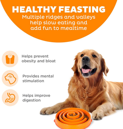 Fun Feeder Slo Bowl – Medium 2‑Cup Capacity, Slow Feeding, Small to Medium Dogs & Cats, Non-Slip, Blue, Notch Pattern | Slows Fast Eaters, Can Aid Digestion, Holds 2 Cups Dry or Wet Food, Non-Slip, Easy Clean, No BPA, Small to Medium Dogs & Cats