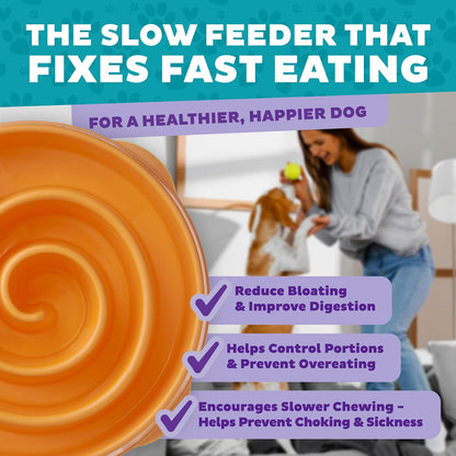 Fun Feeder Slo Bowl – Medium 2‑Cup Capacity, Slow Feeding, Small to Medium Dogs & Cats, Non-Slip, Blue, Notch Pattern | Slows Fast Eaters, Can Aid Digestion, Holds 2 Cups Dry or Wet Food, Non-Slip, Easy Clean, No BPA, Small to Medium Dogs & Cats