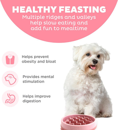 Fun Feeder Slo Bowl – Medium 2‑Cup Capacity, Slow Feeding, Small to Medium Dogs & Cats, Non-Slip, Blue, Notch Pattern | Slows Fast Eaters, Can Aid Digestion, Holds 2 Cups Dry or Wet Food, Non-Slip, Easy Clean, No BPA, Small to Medium Dogs & Cats