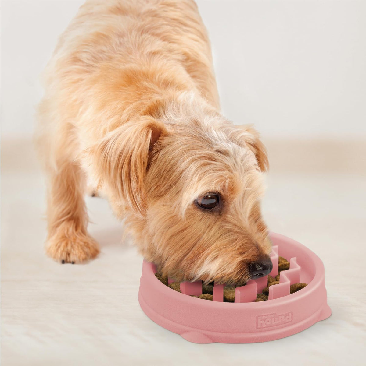 Fun Feeder Slo Bowl – Medium 2‑Cup Capacity, Slow Feeding, Small to Medium Dogs & Cats, Non-Slip, Blue, Notch Pattern | Slows Fast Eaters, Can Aid Digestion, Holds 2 Cups Dry or Wet Food, Non-Slip, Easy Clean, No BPA, Small to Medium Dogs & Cats