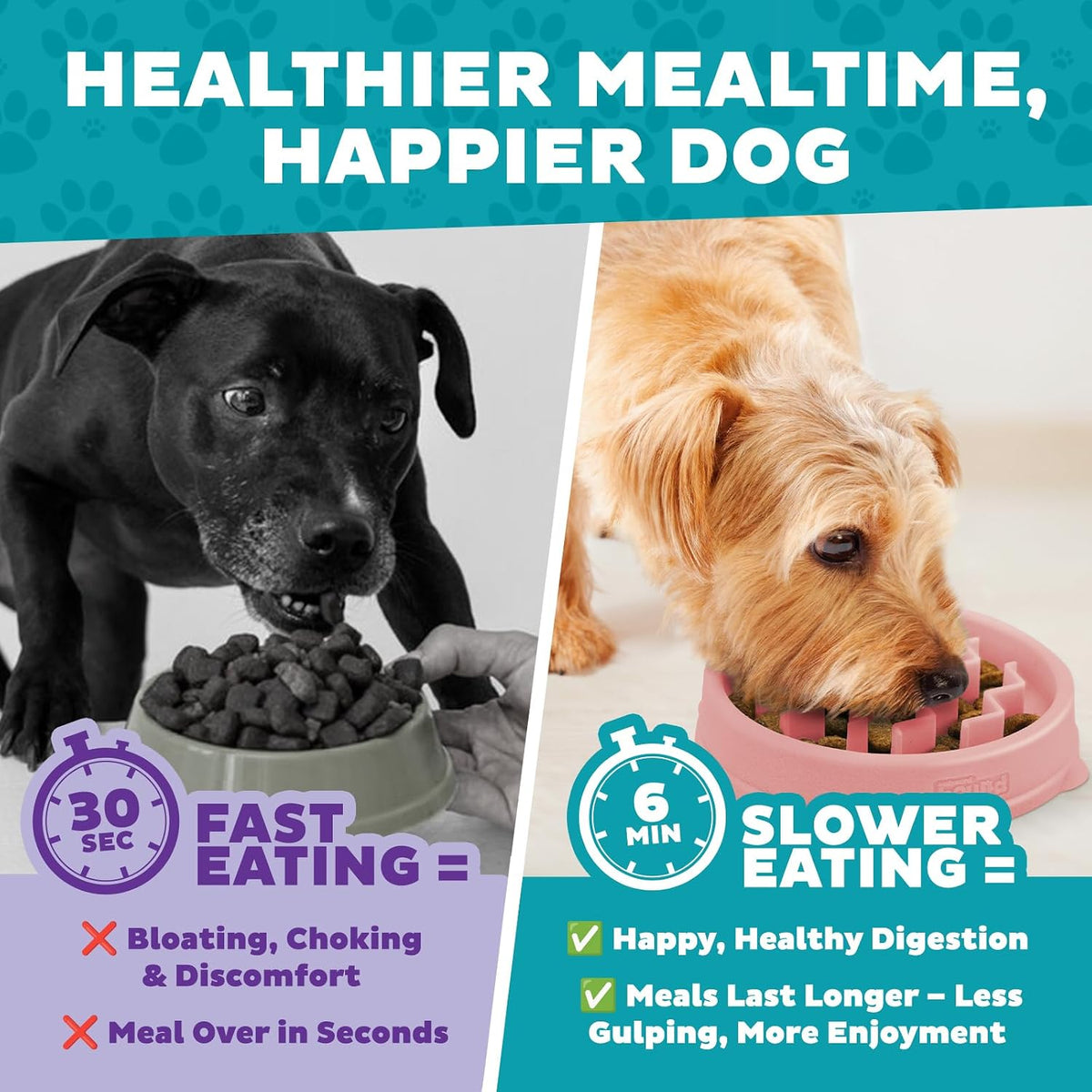 Fun Feeder Slo Bowl – Medium 2‑Cup Capacity, Slow Feeding, Small to Medium Dogs & Cats, Non-Slip, Blue, Notch Pattern | Slows Fast Eaters, Can Aid Digestion, Holds 2 Cups Dry or Wet Food, Non-Slip, Easy Clean, No BPA, Small to Medium Dogs & Cats