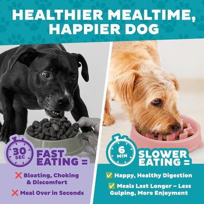 Fun Feeder Slo Bowl – Medium 2‑Cup Capacity, Slow Feeding, Small to Medium Dogs & Cats, Non-Slip, Blue, Notch Pattern | Slows Fast Eaters, Can Aid Digestion, Holds 2 Cups Dry or Wet Food, Non-Slip, Easy Clean, No BPA, Small to Medium Dogs & Cats