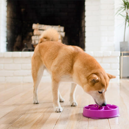 Fun Feeder Slo Bowl – Medium 2‑Cup Capacity, Slow Feeding, Small to Medium Dogs & Cats, Non-Slip, Blue, Notch Pattern | Slows Fast Eaters, Can Aid Digestion, Holds 2 Cups Dry or Wet Food, Non-Slip, Easy Clean, No BPA, Small to Medium Dogs & Cats