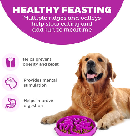 Fun Feeder Slo Bowl – Medium 2‑Cup Capacity, Slow Feeding, Small to Medium Dogs & Cats, Non-Slip, Blue, Notch Pattern | Slows Fast Eaters, Can Aid Digestion, Holds 2 Cups Dry or Wet Food, Non-Slip, Easy Clean, No BPA, Small to Medium Dogs & Cats