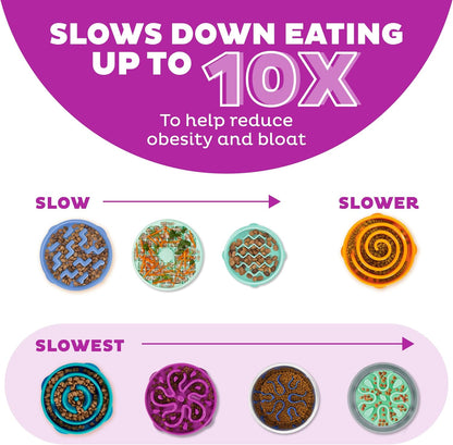 Fun Feeder Slo Bowl – Medium 2‑Cup Capacity, Slow Feeding, Small to Medium Dogs & Cats, Non-Slip, Blue, Notch Pattern | Slows Fast Eaters, Can Aid Digestion, Holds 2 Cups Dry or Wet Food, Non-Slip, Easy Clean, No BPA, Small to Medium Dogs & Cats