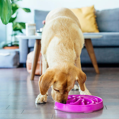 Fun Feeder Slo Bowl – Medium 2‑Cup Capacity, Slow Feeding, Small to Medium Dogs & Cats, Non-Slip, Blue, Notch Pattern | Slows Fast Eaters, Can Aid Digestion, Holds 2 Cups Dry or Wet Food, Non-Slip, Easy Clean, No BPA, Small to Medium Dogs & Cats
