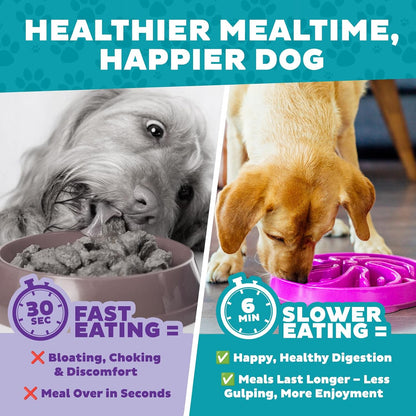 Fun Feeder Slo Bowl – Medium 2‑Cup Capacity, Slow Feeding, Small to Medium Dogs & Cats, Non-Slip, Blue, Notch Pattern | Slows Fast Eaters, Can Aid Digestion, Holds 2 Cups Dry or Wet Food, Non-Slip, Easy Clean, No BPA, Small to Medium Dogs & Cats