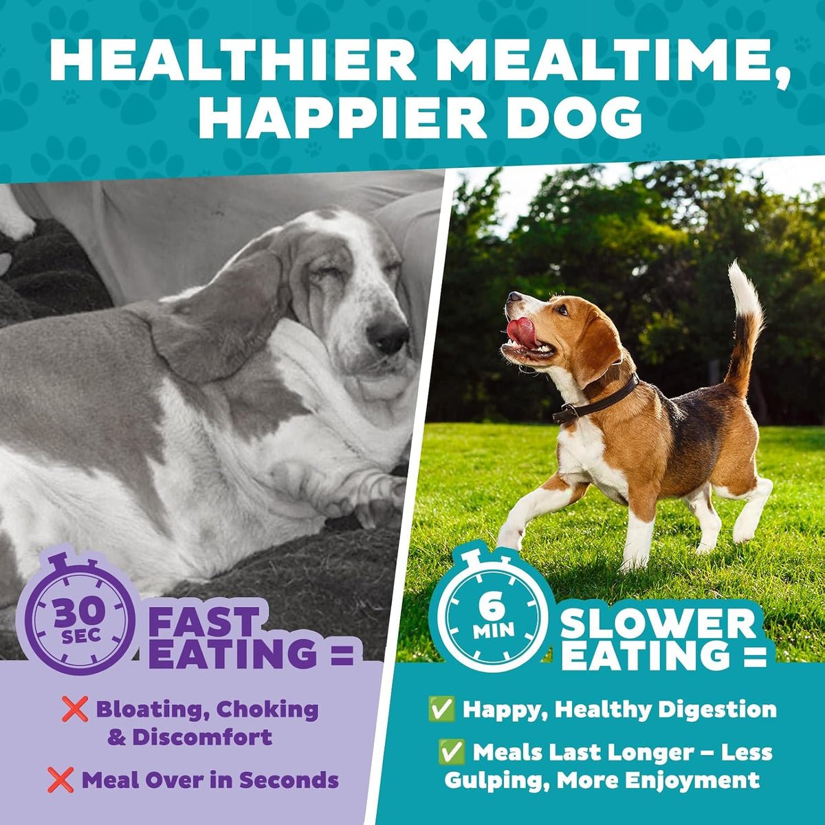 Fun Feeder Slo Bowl – Medium 2‑Cup Capacity, Slow Feeding, Small to Medium Dogs & Cats, Non-Slip, Blue, Notch Pattern | Slows Fast Eaters, Can Aid Digestion, Holds 2 Cups Dry or Wet Food, Non-Slip, Easy Clean, No BPA, Small to Medium Dogs & Cats