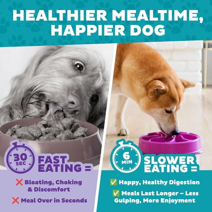 Fun Feeder Slo Bowl – Medium 2‑Cup Capacity, Slow Feeding, Small to Medium Dogs & Cats, Non-Slip, Blue, Notch Pattern | Slows Fast Eaters, Can Aid Digestion, Holds 2 Cups Dry or Wet Food, Non-Slip, Easy Clean, No BPA, Small to Medium Dogs & Cats